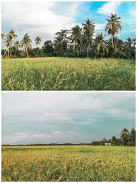 These stays are highly rated for location, cleanliness, and more. Apa Ada Di Ban Pecah Tanjung Piandang Perak