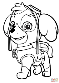 Paw Patrol Sky Ausmalbild 491 Malvorlage Paw Patrol