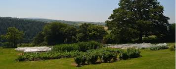 From cdn.turkishexporter.com.tr maybe you would like to learn more about one of these? Tamar Organics Organic Seed Garden Supplies