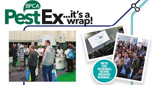 Introducing 'good at feeling bad out may 22. Pestex Cellence Showcased At The Uk S Pest Management Show 2019