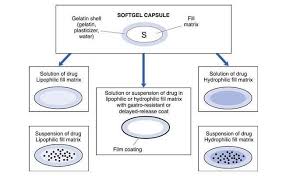 Yes, our perfect keto mct softgels can be taken on an empty stomach. How To Make Softgel Capsules The Complete Guide Saintytec