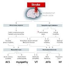 Перевод контекст complications from a stroke c английский на русский от reverso context: Stroke As Interdisciplinary Disease What The Practising Cardiologist Can Do