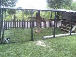 With areas to perch for a view of its domain, plenty of playful areas, and lots of room to roam around, an outdoor cat enclosure show… Easy To Make Outside Cat Enclosure With Petsafe Dog Kennels And Our Four Adopted Cats Youtube