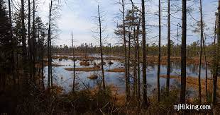 Check spelling or type a new query. Wharton State Forest Atsion To Quaker Bridge Loop Njhiking Com