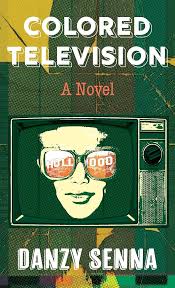 Colored Television: A Novel (Thorndike Press; Large Print, Black Voices):  9781420520910: Senna, Danzy: Books