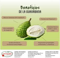 🍃 ¡Descubre los beneficios de la guanábana! 🌟 Hoy en nuestra infografía  de los miércoles te contamos por qué esta fruta tropical es un verdadero  tesoro: ✓ Rica en antioxidantes, que ayudan