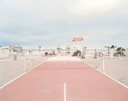 For example, decorative pictures of leaves and plants are used to embellish the background. Aesthetic Beach And Bambi Image 6051393 On Favim Com