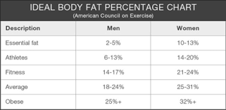 understanding your fittrack measurement