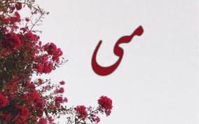 معنى اسم مي في معاجم اللغة موسوعة نت