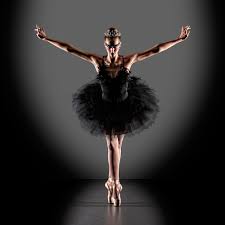 Black And White Swan Ballet Black Swan Photo Richard Calmes Photos At Pbase Com Dance Photography Black Swan Ballet Poses