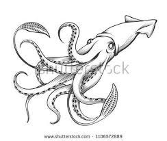 Weitere ideen zu riesenkalmar, kalmar, tiere aus polymerton. Giant Squid Drawn In Engraving Tattoo Style Vector Illustration Drawn Engraving Giant Krake Tattoo Design Riesenkalmar Kraken Tatowierung