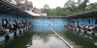 Ekami Fishing Pendatang Baru Yang Makin Dikenal Penggila Galatama Lele Kabar Mancing