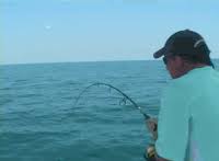 Find thousands of animated gifs, images & animations on animatedimages.org! Fishing Gifs Get The Best Gif On Gifer