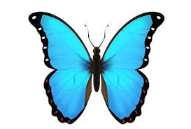 What Does Butterfly Emoji Mean Emoji Emoji Backgrounds Butterfly