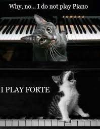 For My Music Geeks Who Like Cats Music Humor Music Nerd Music Puns