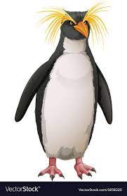 Rockhopper Penguin Royalty Free Vector Image - Vectorstock | Rockhopper  Penguin, Penguins, Penguin Drawing