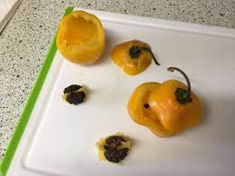 Rocoto Relleno Rezept Gefullte Rocotos Chilirezept De Rezept Gefullte Paprikaschoten Hackfleisch Rezepte