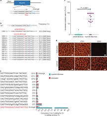 We did not find results for: Increasing The Efficiency And Targeting Range Of Cytidine Base Editors Through Fusion Of A Single Stranded Dna Binding Protein Domain Nature Cell Biology
