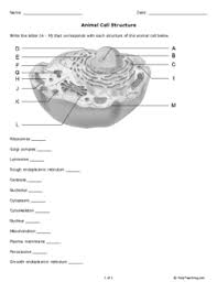 Animal cell / plant cell worksheets:this is a great supplement for students to review the unit of animal cell and plant cell. Animal Cell Structure Grade 10 Free Printable Tests And Worksheets Helpteaching Com