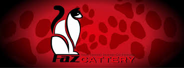 Tidak kira malam atau siang, ada saja kedai makan yang. Imadi Pet Shah Alam Shah Alam Selangor Malaysia Pet Store Facebook