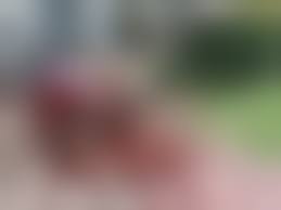Murder in plain sight? Nope, just a homeowner really excited about Halloween