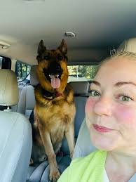 Lost dog found in West Linn area