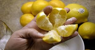 4 Anciennes Astuces Avec Du Citron Pour Enlever Les Mauvaises Odeurs Et Parfumer Votre Maison Fruits Sains Fruits Citron