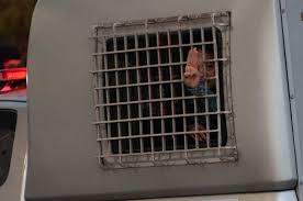 Wanderloft capsule hostel (capsule hotel), singapore (singapore) deals. Coronavirus Pandemic The Interpreter