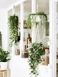 Con la posibilidad de poderlo comprar directamente online sin tener que. Las Ideas De Ikea Para Rodearnos De Detalles Verdes Y Naturales Por Toda La Casa