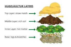 Would this be beneficial to the trees as it is to other i have been misunderstanding hugelkultur, i thought it was a good way to get a forest garden going. How To Build Hugelkultur Raised Garden Beds A Traditional Life