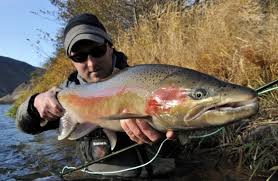 Summer Steelhead Fly Fishing with Tom Larimer