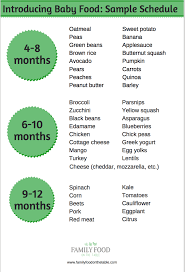 Year Baby Food Online Charts Collection