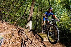 Vizionati filme hd gratuite, cele mai recente filme. Vlad DascÄlu Im Portrat Der Xco Mtb Rider Im Interview