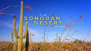 Arizona-Sonora Desert Museum, Tucson, AZ - Zoo, Botanical Garden and Art  Gallery