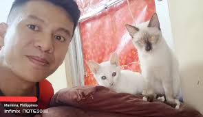 My Cute Siamese & Khao Manee Cat🥰🥰🥰