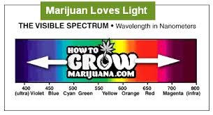Light Spectrum Plant Growth Chart Bedowntowndaytona Com