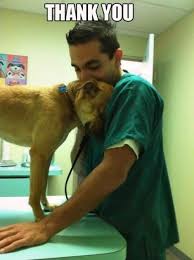 Dar Thechive Cute Animals Animals Beautiful Baby Dogs