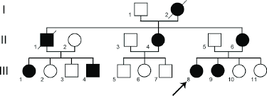 We did not find results for: Pedigree Of The Family The Family Tree Shows The Affected Black And Download Scientific Diagram