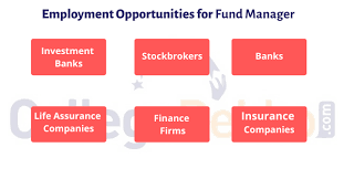 You will be contributing to financial planning, preparing financial reports, and implementing best practices in financial administration. Career As Fund Manager How To Become Courses Job Profile Salary Scope