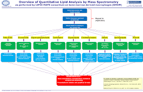 Lipid Maps Lipidomics Gateway