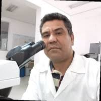 4 "Anibal Ribeiro Junior" profiles