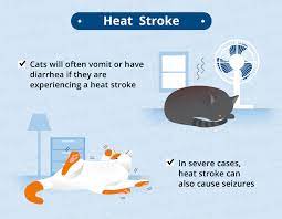Check spelling or type a new query. Causes Of Vomiting Diarrhea In Cats Canna Pet