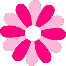 We did not find results for: Download Pink Gerber Daisy Clip Art At Clker Pink Daisy Flower Clipart Full Size Png Image Pngkit
