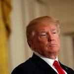 Trump trade wind just breeze