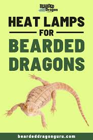 Heat Lamps For Bearded Dragons Bearded Dragon Heat Lamp Bearded Dragon Bearded Dragon Lighting