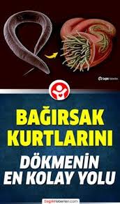 Bagirsak Parazit Ve Kurtlarini Dokmenin En Hizli Ve En Kolay Yolu 2020 Dogal Saglik Saglik Diyet Planlari