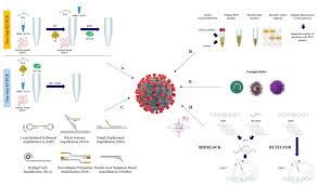 Create your custom design certificate with our online certificate maker, or choose from a template. Ijms Free Full Text Nucleic Acid Testing Of Sars Cov 2 Html