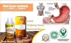 Pin Di Aturan Minum Jelly Gamat Spirulina