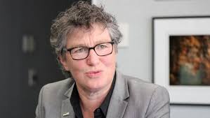 Councillor takes Dunedin council to court as fallout over $12 ticket  continues