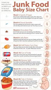 Junk Food Baby Size Chart For Pregnancy From How To Be A Dad